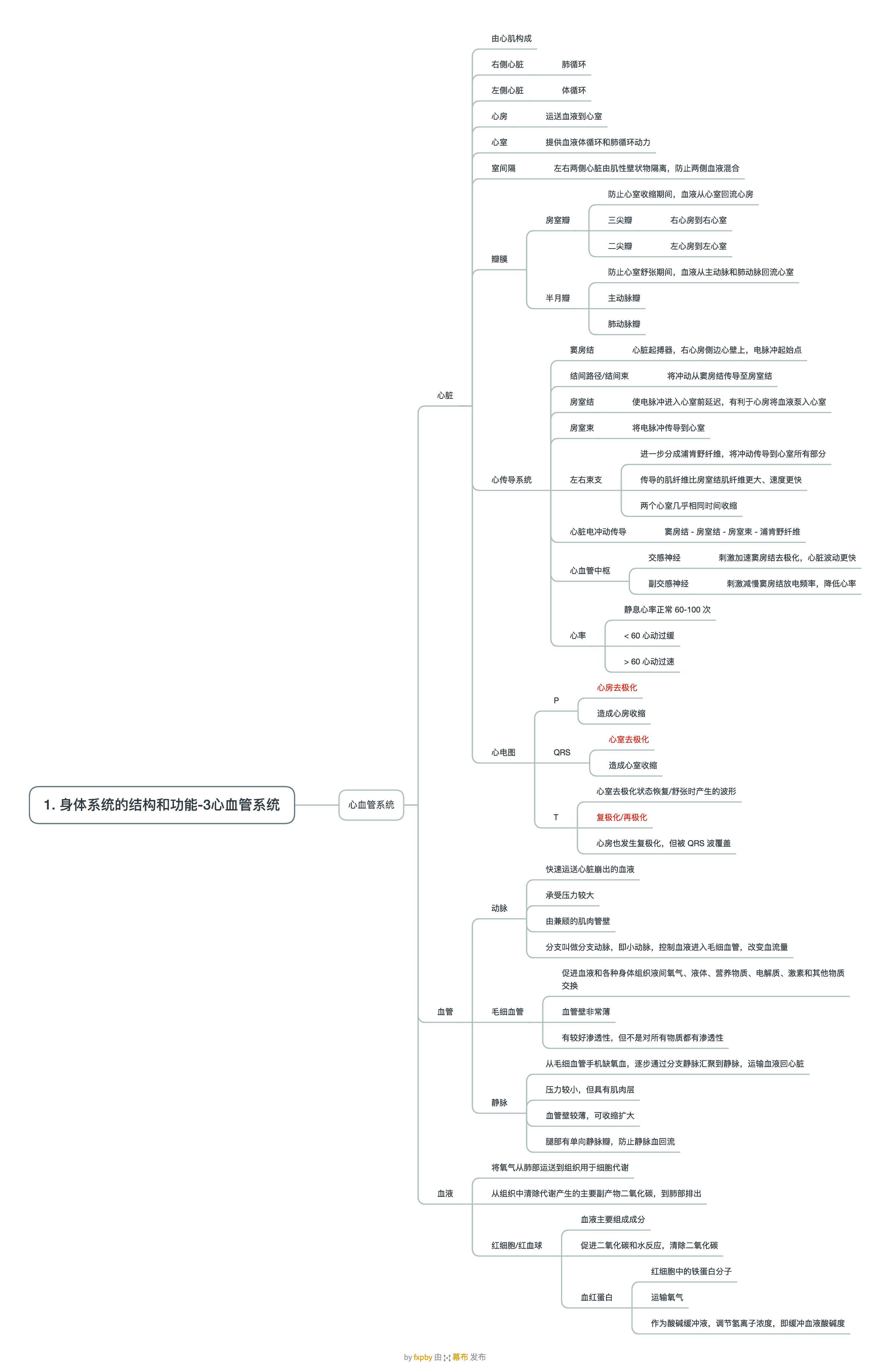 1. 身体系统的结构和功能-3心血管系统