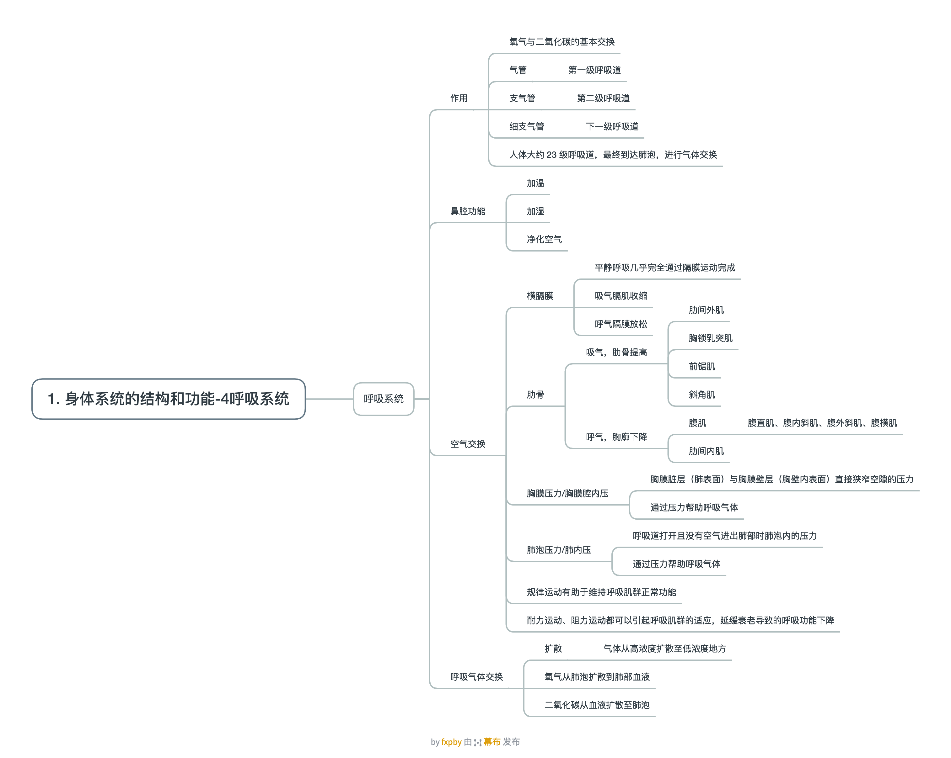 1. 身体系统的结构和功能-4呼吸系统